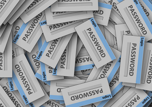 password 1a300